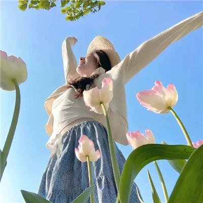 梯田姐妹封面
