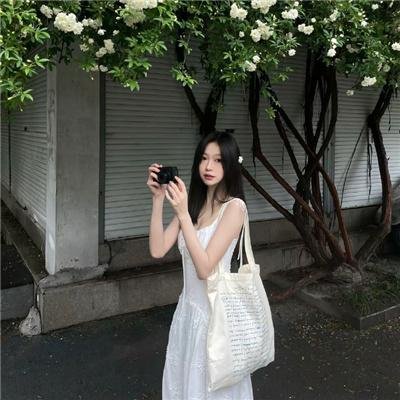 灵狐封面